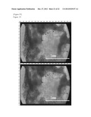 CELL CONSTRUCT COMPRISING POLYMER BLOCKS HAVING BIOCOMPATIBILITY AND CELLS diagram and image