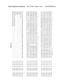 INCREASED OIL CONTENT BY INCREASING YAP1 TRANSCRIPTION FACTOR ACTIVITY IN     OLEAGINOUS YEASTS diagram and image