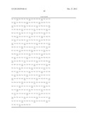 INCREASED OIL CONTENT BY INCREASING YAP1 TRANSCRIPTION FACTOR ACTIVITY IN     OLEAGINOUS YEASTS diagram and image