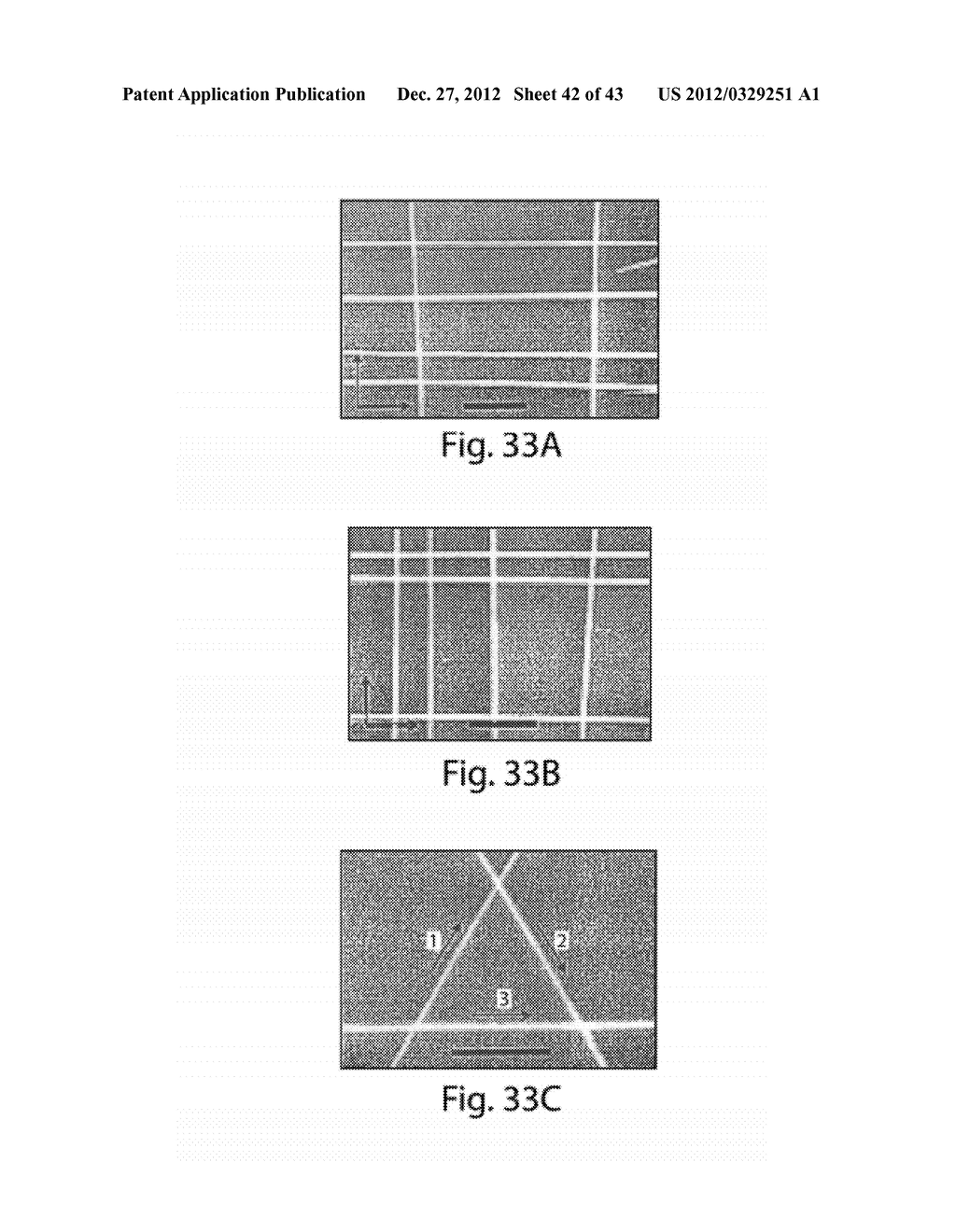 DOPED ELONGATED SEMICONDUCTORS, GROWING SUCH SEMICONDUCTORS, DEVICES     INCLUDING SUCH SEMICONDUCTORS AND FABRICATING SUCH DEVICES - diagram, schematic, and image 43