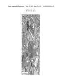 METHOD FOR MANUFACTURING A THROUGH HOLE ELECTRODE SUBSTRATE diagram and image