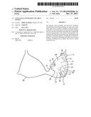 CONCEALED AND DISCREET SECURITY POCKET diagram and image