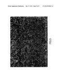 NOBLE METAL FINE PARTICLE SUPPORTED CATALYST AND METHOD FOR PRODUCING THE     CATALYST, AND PURIFYING CATALYST diagram and image
