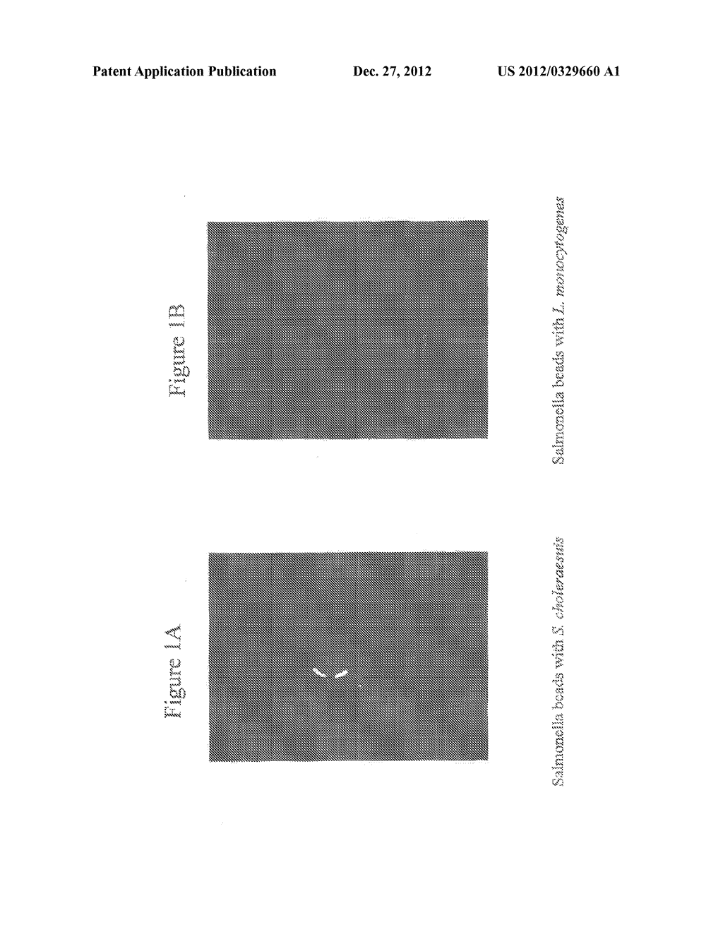 METHODS AND COMPOSITIONS FOR SORTING AND/OR DETERMINING ORGANISMS - diagram, schematic, and image 02