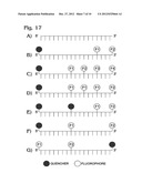 MULTIPLEXED DIGITAL ASSAYS WITH COMBINATORIAL USE OF SIGNALS diagram and image