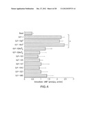 GLP-1, EXENDIN-4, PEPTIDE ANALOGS AND USES THEREOF diagram and image