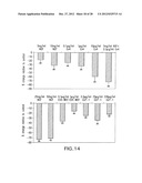 GLP-1, EXENDIN-4, PEPTIDE ANALOGS AND USES THEREOF diagram and image