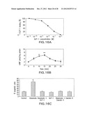 GLP-1, EXENDIN-4, PEPTIDE ANALOGS AND USES THEREOF diagram and image