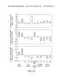 GLP-1, EXENDIN-4, PEPTIDE ANALOGS AND USES THEREOF diagram and image