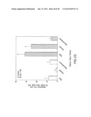 GLP-1, EXENDIN-4, PEPTIDE ANALOGS AND USES THEREOF diagram and image