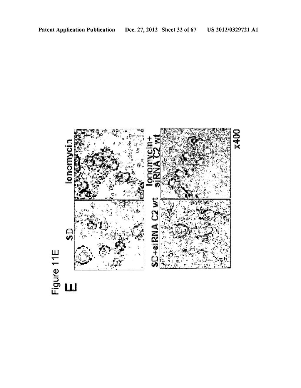 MEANS FOR PREVENTING AND TREATING CELLULAR DEATH AND THEIR BIOLOGICAL     APPLICATIONS - diagram, schematic, and image 33