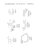 Water Soluble Drug-Solubilizer Powders and Their Uses diagram and image