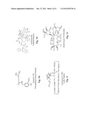 Water Soluble Drug-Solubilizer Powders and Their Uses diagram and image