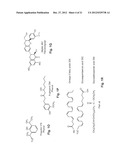 Water Soluble Drug-Solubilizer Powders and Their Uses diagram and image