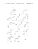 Water Soluble Drug-Solubilizer Powders and Their Uses diagram and image