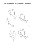 Water Soluble Drug-Solubilizer Powders and Their Uses diagram and image