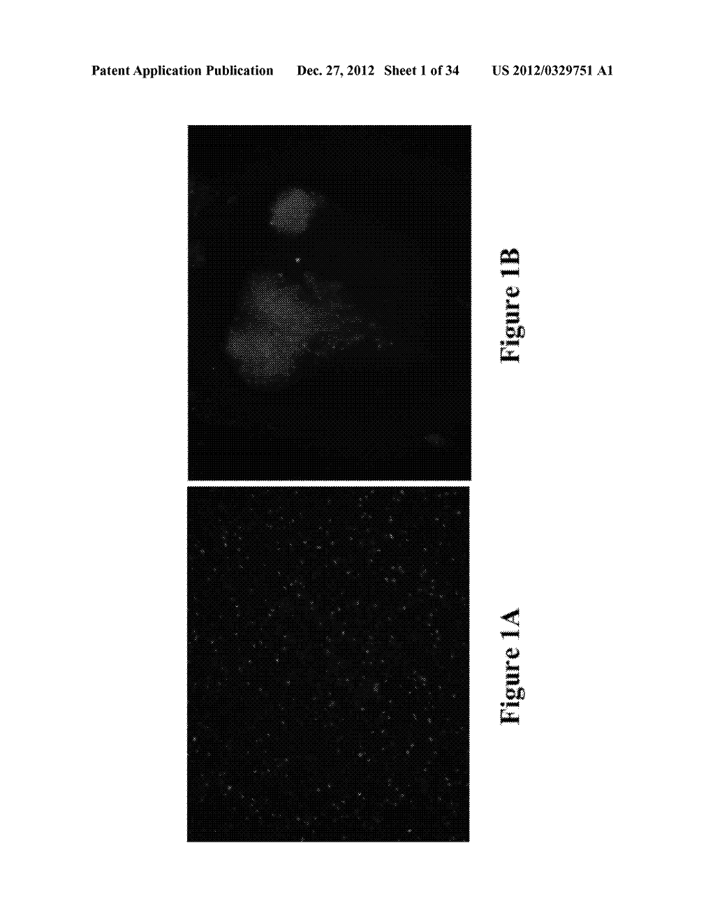 METHODS AND COMPOSITIONS FOR DISRUPTING BIOFILM UTILIZING     CHITOSAN-DERIVATIVE COMPOUNDS - diagram, schematic, and image 02