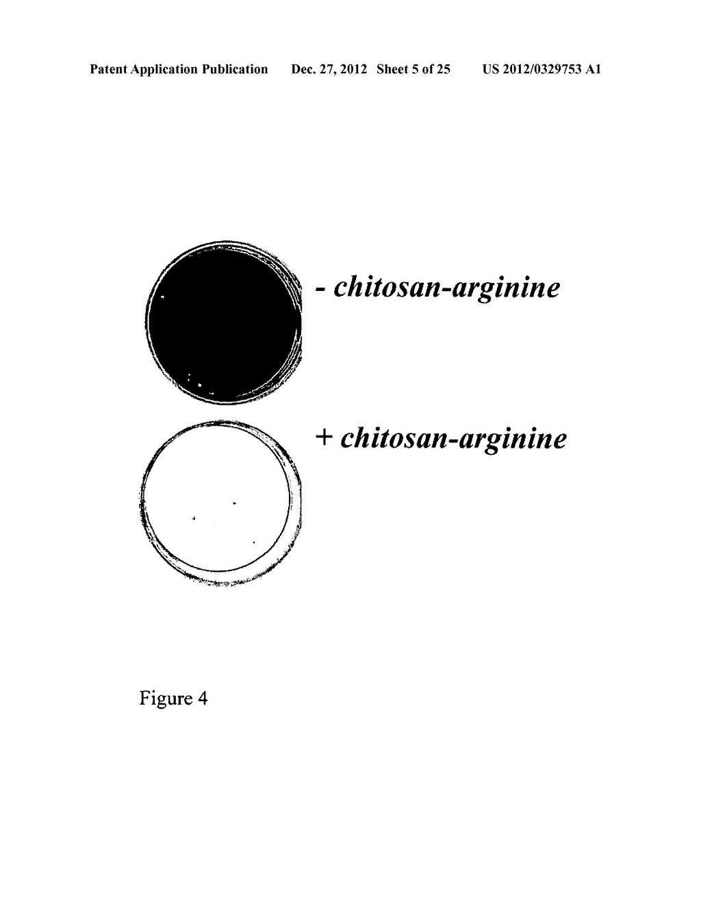 CHITOSAN-DERIVATIVE COMPOUNDS AND METHODS OF CONTROLLING MICROBIAL     POPULATIONS - diagram, schematic, and image 06