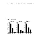 USE OF TIGECYCLINE FOR TREATMENT OF CANCER diagram and image