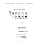 Methods and Compositions for Treating Cancer diagram and image