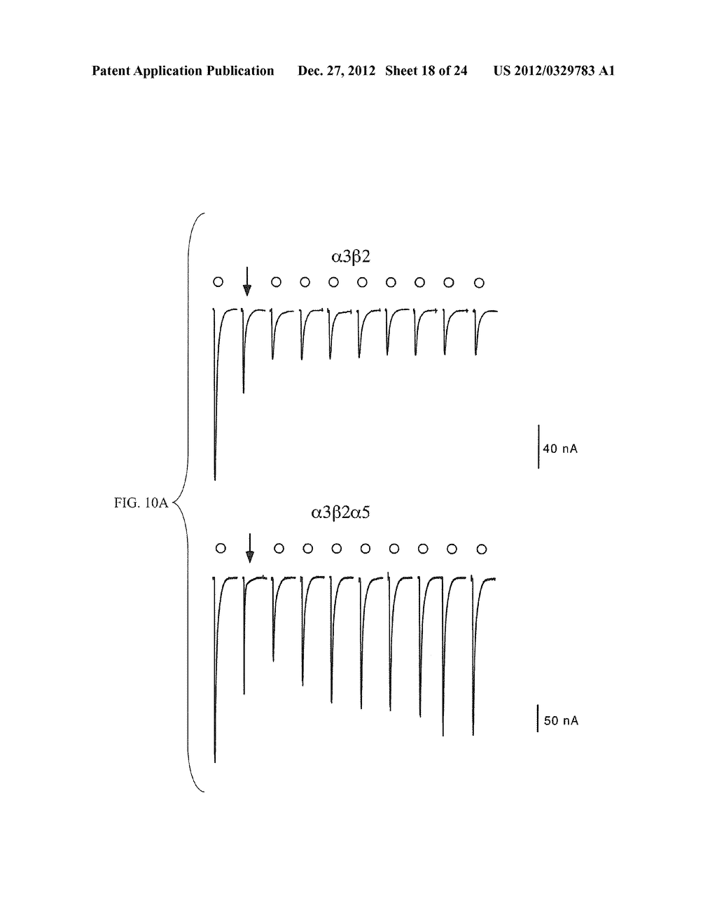 COMPOSITIONS AND METHODS FOR SELECTIVE INHIBITION OF NICOTINE     ACETYLCHOLINE RECEPTORS - diagram, schematic, and image 19