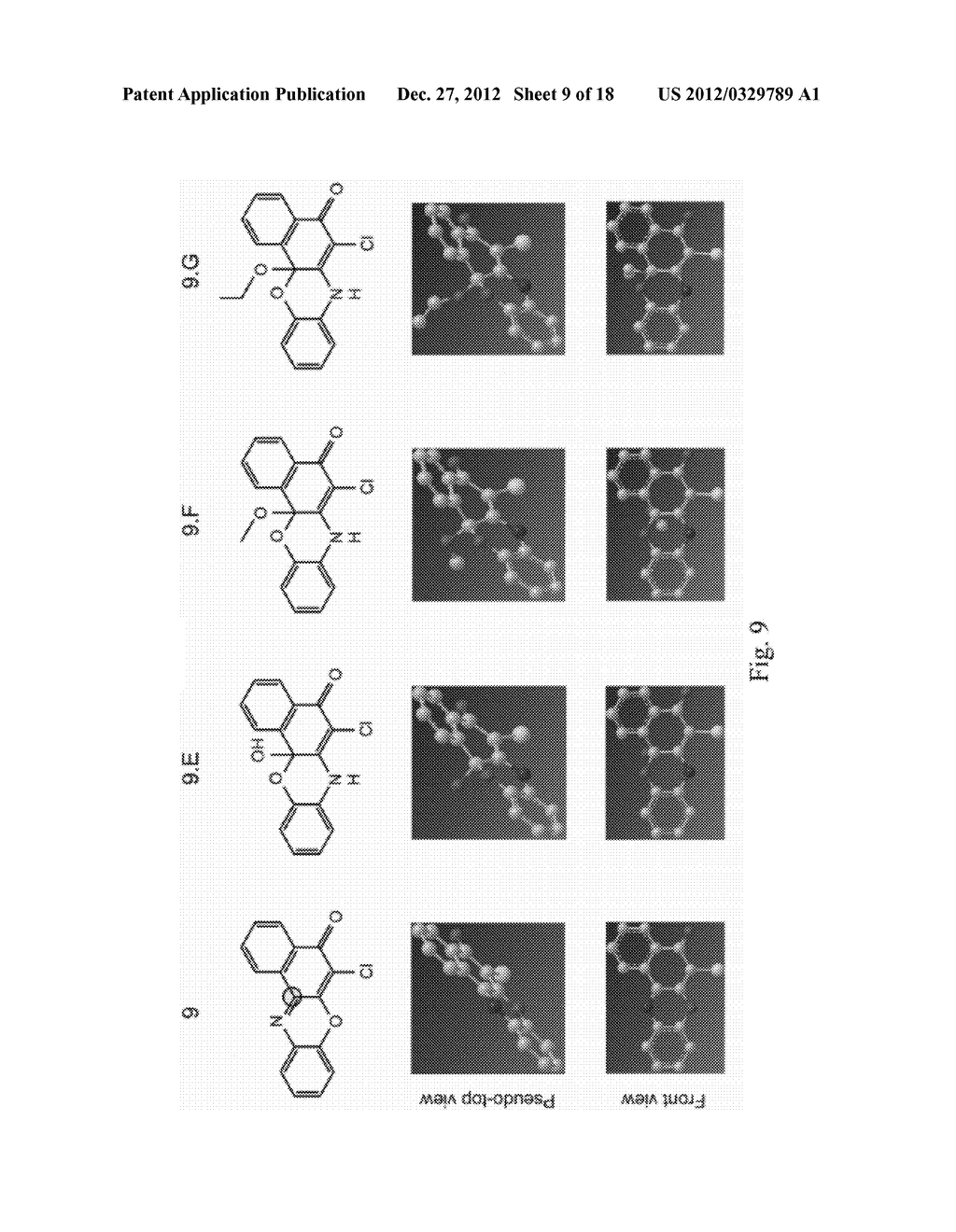 COMPOSITIONS AND METHODS FOR TREATING ALZHEIMERS DISEASE - diagram, schematic, and image 10