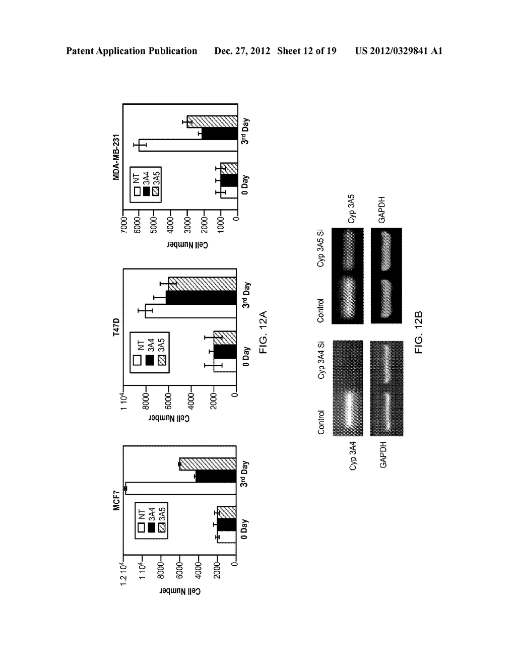 TREATING CANCER WITH DESTHIAZOLYL RITONAVIR - diagram, schematic, and image 13