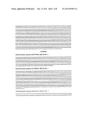 TREATMENT OF HEPATOCYTE GROWTH FACTOR (HGF) RELATED DISEASES BY INHIBITION     OF NATURAL ANTISENSE TRANSCRIPT TO HGF diagram and image