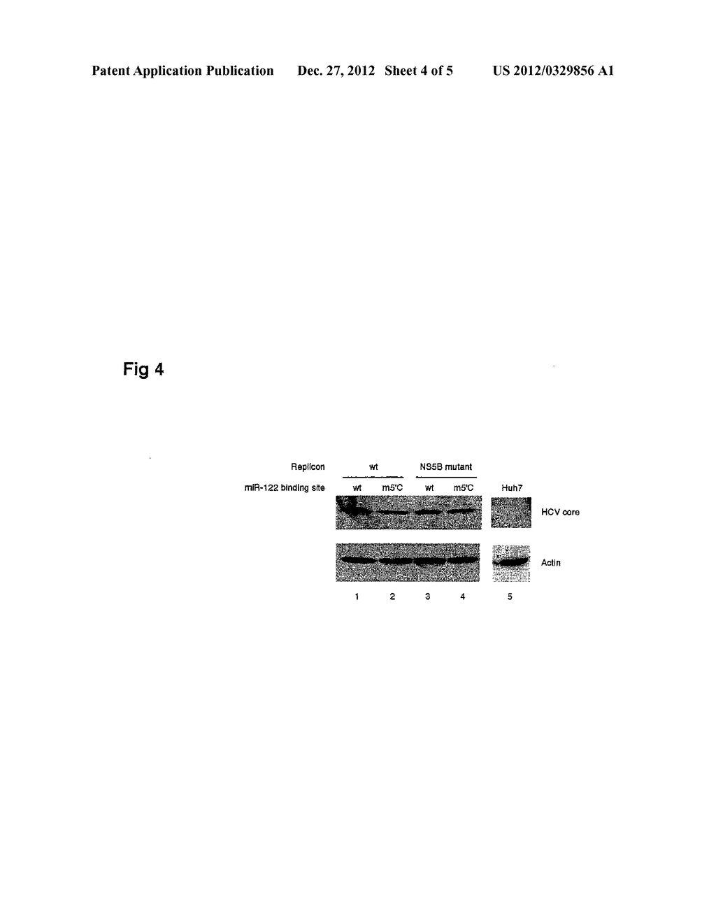 Methods And Compositions For Reducing Viral Genome Amounts In A Target     Cell - diagram, schematic, and image 05