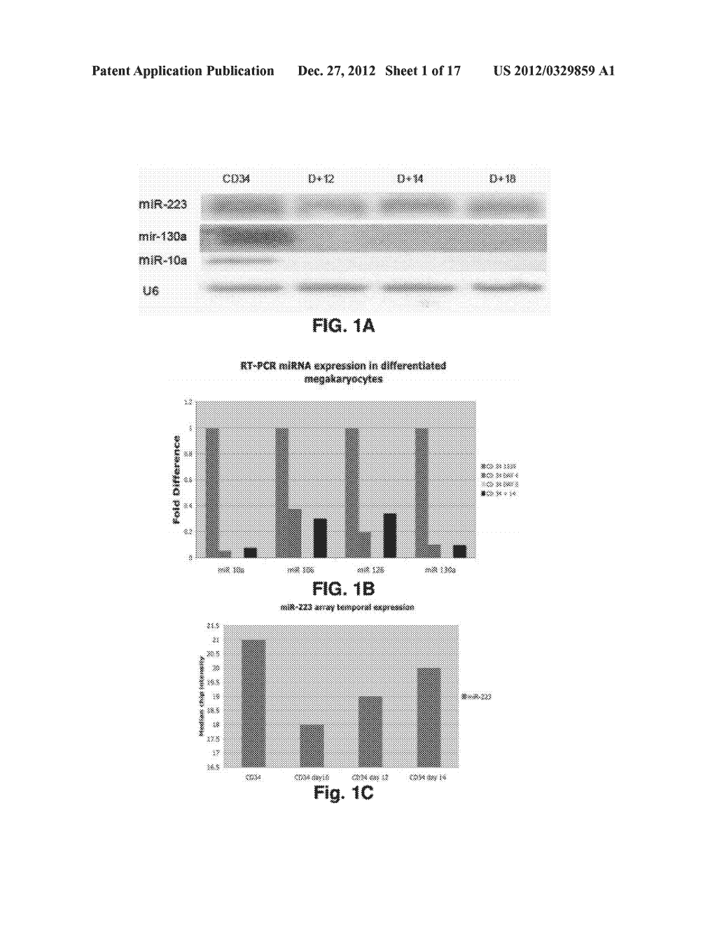 MicroRNA Fingerprints During Human Megakaryocytopoiesis - diagram, schematic, and image 02