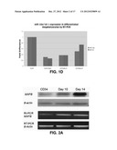 MicroRNA Fingerprints During Human Megakaryocytopoiesis diagram and image