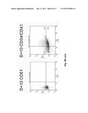 MicroRNA Fingerprints During Human Megakaryocytopoiesis diagram and image