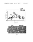 Uses of Beta-Nicotinamide Adenine Dinucleotide diagram and image