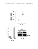 Uses of Beta-Nicotinamide Adenine Dinucleotide diagram and image