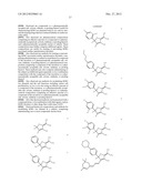 MOLECULES RELATED hERG ION CHANNELS AND THE USE THEREOF diagram and image