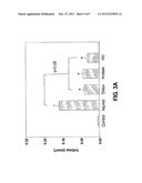 Methods for Treating or Preventing Restenosis and Other Vascular     Proliferative Disorders diagram and image