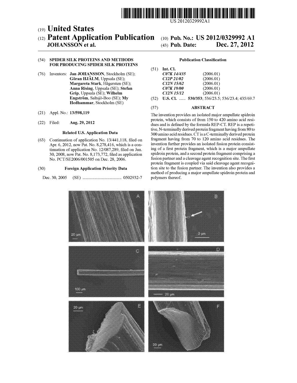 SPIDER SILK PROTEINS AND METHODS FOR PRODUCING SPIDER SILK PROTEINS - diagram, schematic, and image 01