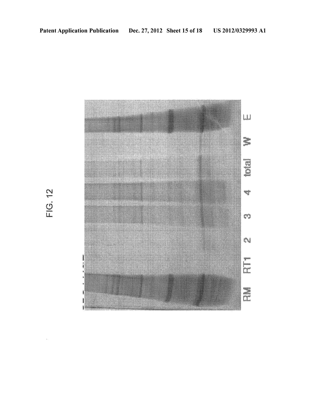 SOY WHEY PROTEIN COMPOSITIONS AND METHODS FOR RECOVERING SAME - diagram, schematic, and image 16