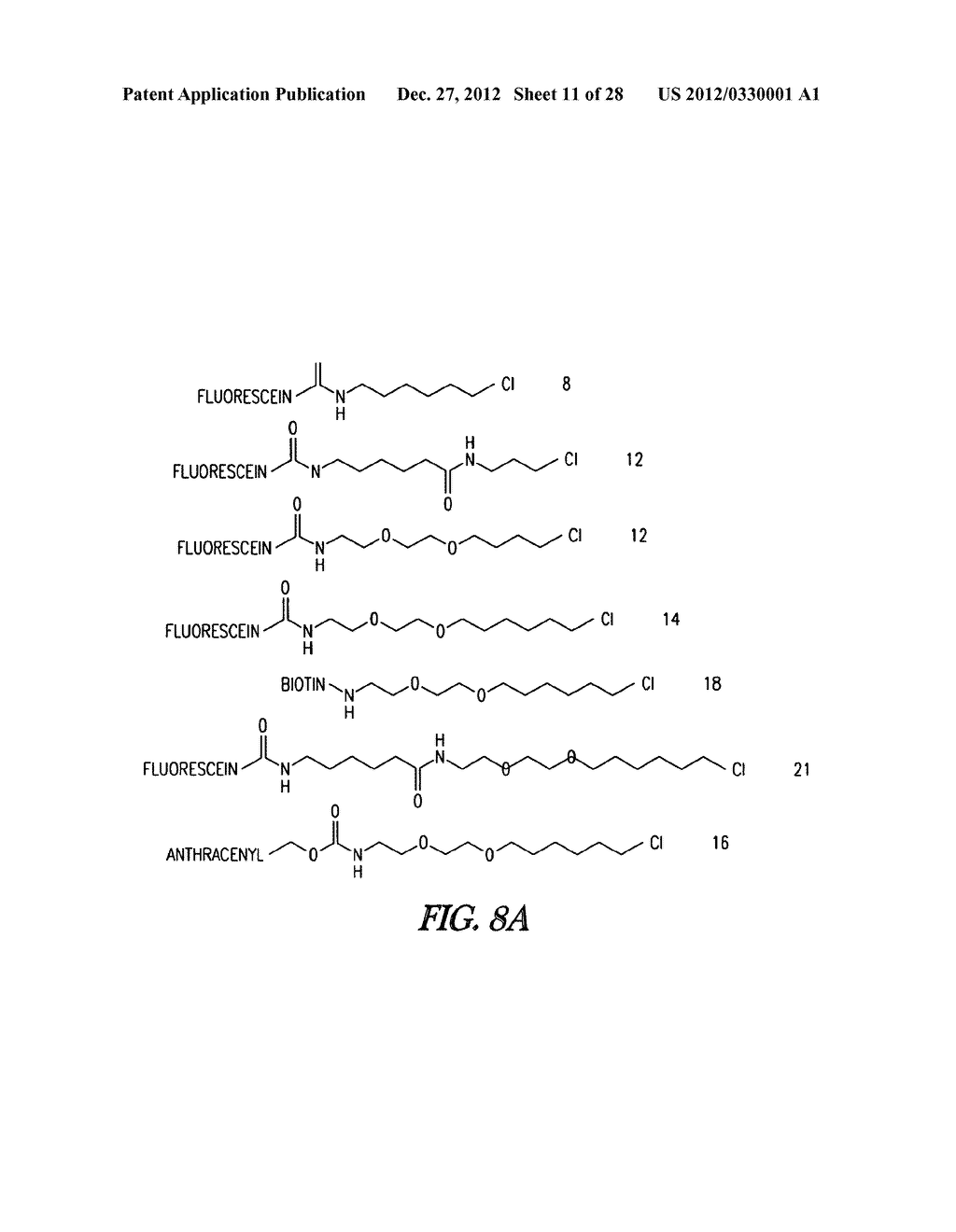 METHOD OF IMMOBILIZING A PROTEIN OR MOLECULE VIA A MUTANT DEHALOGENASE     THAT IS BOUND TO AN IMMOBILIZED DEHALOGENASE SUBSTRATE AND LINKED     DIRECTLY OR INDIRECTLY TO THE PROTEIN OR MOLECULE - diagram, schematic, and image 12