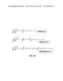 METHOD OF IMMOBILIZING A PROTEIN OR MOLECULE VIA A MUTANT DEHALOGENASE     THAT IS BOUND TO AN IMMOBILIZED DEHALOGENASE SUBSTRATE AND LINKED     DIRECTLY OR INDIRECTLY TO THE PROTEIN OR MOLECULE diagram and image