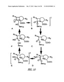 METHOD OF IMMOBILIZING A PROTEIN OR MOLECULE VIA A MUTANT DEHALOGENASE     THAT IS BOUND TO AN IMMOBILIZED DEHALOGENASE SUBSTRATE AND LINKED     DIRECTLY OR INDIRECTLY TO THE PROTEIN OR MOLECULE diagram and image