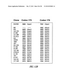 METHOD OF IMMOBILIZING A PROTEIN OR MOLECULE VIA A MUTANT DEHALOGENASE     THAT IS BOUND TO AN IMMOBILIZED DEHALOGENASE SUBSTRATE AND LINKED     DIRECTLY OR INDIRECTLY TO THE PROTEIN OR MOLECULE diagram and image