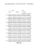 METHOD OF IMMOBILIZING A PROTEIN OR MOLECULE VIA A MUTANT DEHALOGENASE     THAT IS BOUND TO AN IMMOBILIZED DEHALOGENASE SUBSTRATE AND LINKED     DIRECTLY OR INDIRECTLY TO THE PROTEIN OR MOLECULE diagram and image