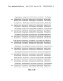 METHOD OF IMMOBILIZING A PROTEIN OR MOLECULE VIA A MUTANT DEHALOGENASE     THAT IS BOUND TO AN IMMOBILIZED DEHALOGENASE SUBSTRATE AND LINKED     DIRECTLY OR INDIRECTLY TO THE PROTEIN OR MOLECULE diagram and image