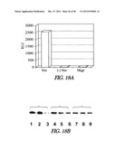 METHOD OF IMMOBILIZING A PROTEIN OR MOLECULE VIA A MUTANT DEHALOGENASE     THAT IS BOUND TO AN IMMOBILIZED DEHALOGENASE SUBSTRATE AND LINKED     DIRECTLY OR INDIRECTLY TO THE PROTEIN OR MOLECULE diagram and image