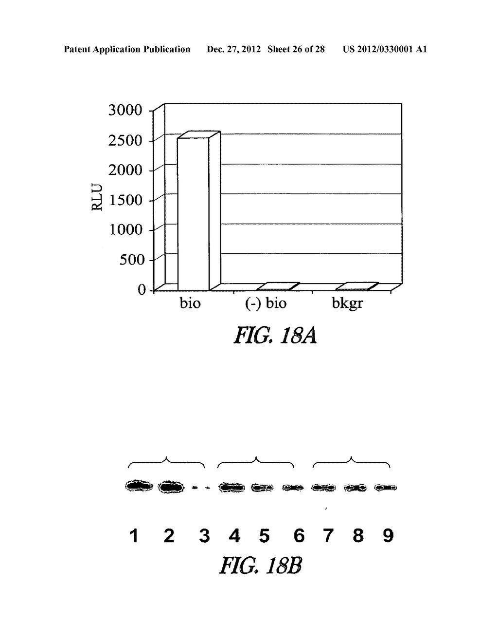 METHOD OF IMMOBILIZING A PROTEIN OR MOLECULE VIA A MUTANT DEHALOGENASE     THAT IS BOUND TO AN IMMOBILIZED DEHALOGENASE SUBSTRATE AND LINKED     DIRECTLY OR INDIRECTLY TO THE PROTEIN OR MOLECULE - diagram, schematic, and image 27