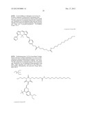 METHOD OF IMMOBILIZING A PROTEIN OR MOLECULE VIA A MUTANT DEHALOGENASE     THAT IS BOUND TO AN IMMOBILIZED DEHALOGENASE SUBSTRATE AND LINKED     DIRECTLY OR INDIRECTLY TO THE PROTEIN OR MOLECULE diagram and image