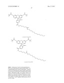 METHOD OF IMMOBILIZING A PROTEIN OR MOLECULE VIA A MUTANT DEHALOGENASE     THAT IS BOUND TO AN IMMOBILIZED DEHALOGENASE SUBSTRATE AND LINKED     DIRECTLY OR INDIRECTLY TO THE PROTEIN OR MOLECULE diagram and image