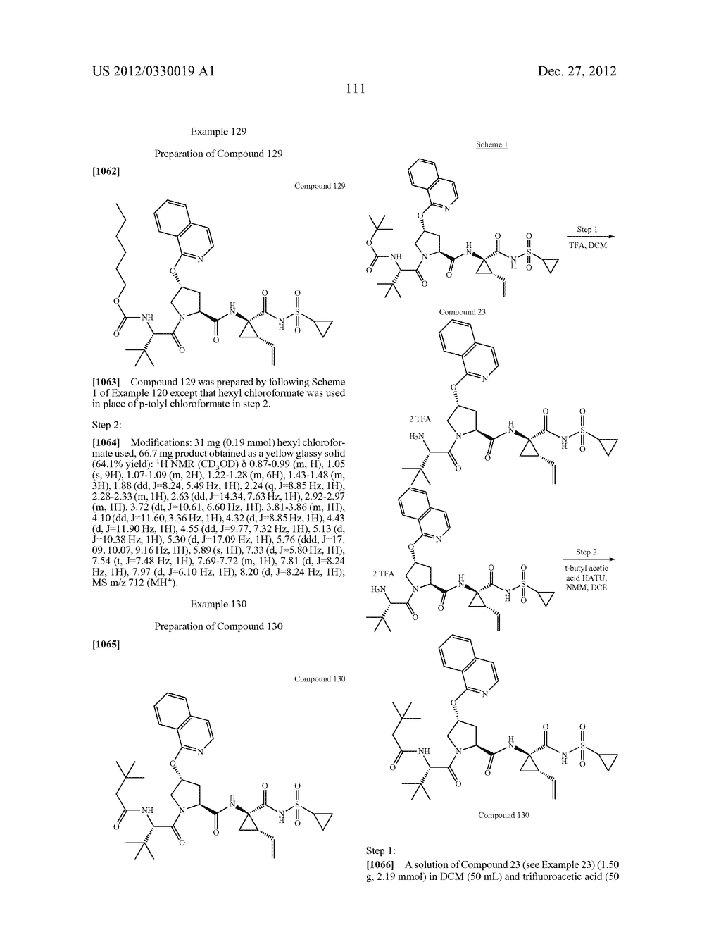 Hepatitis C Virus Inhibitors - diagram, schematic, and image 112