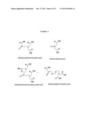 CHELATING AGENT MODIFIED GRAPHENE OXIDES, METHODS OF PREPARATION AND USE diagram and image